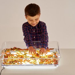 A3 LIGHT PANEL & EXPLORATION TRAY