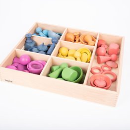 RAINBOW WOODEN SUPER SET + WOODEN SORTING TRAY (7- WAY) 