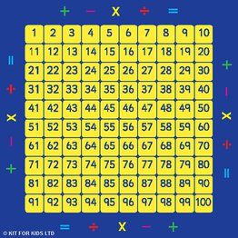 100 Square Counting Grid Mat